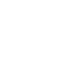 ferresegur_logo